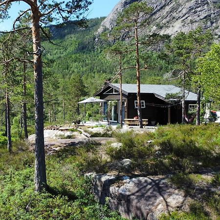 Cosy Cabin Between Lake And Mountain Treungen Exterior foto