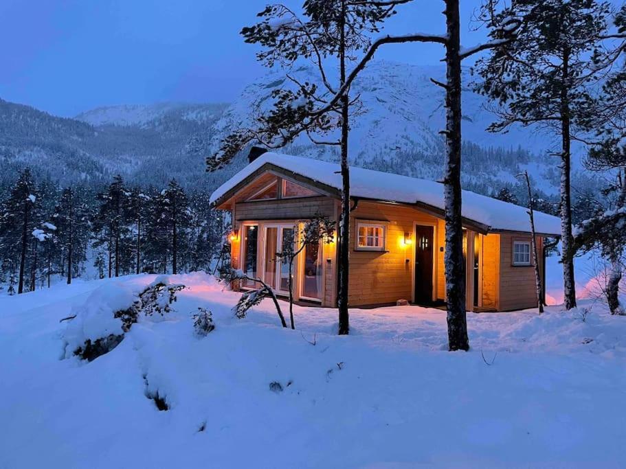 Cosy Cabin Between Lake And Mountain Treungen Exterior foto