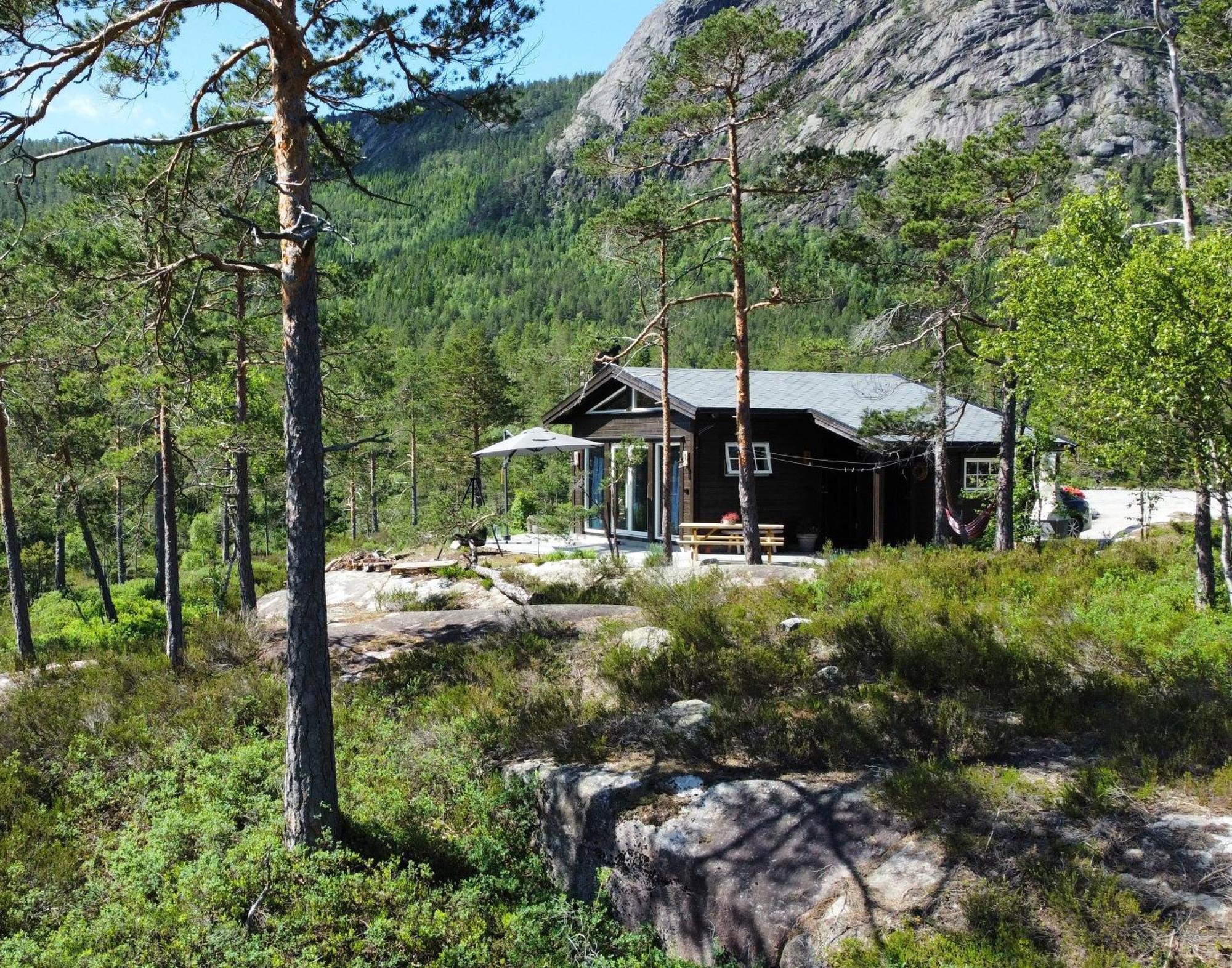 Cosy Cabin Between Lake And Mountain Treungen Exterior foto